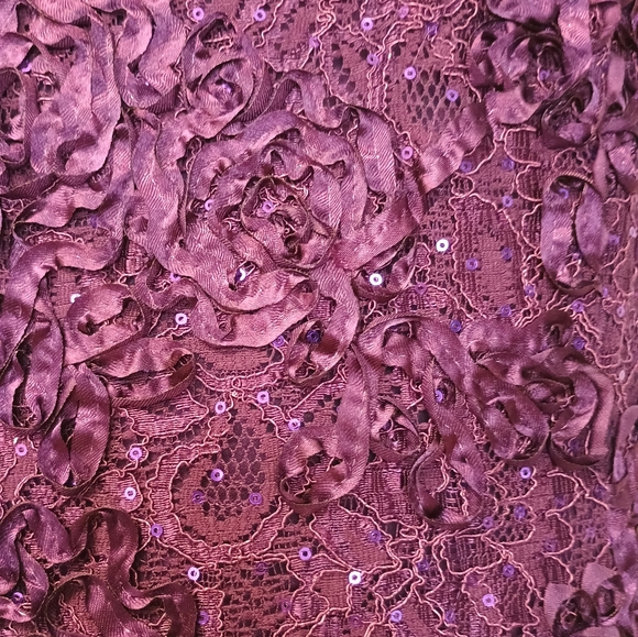 Alex Evenings Mother Of The Bride Rossette Lace Cap Sleeve Dress - Picture 8 of 9